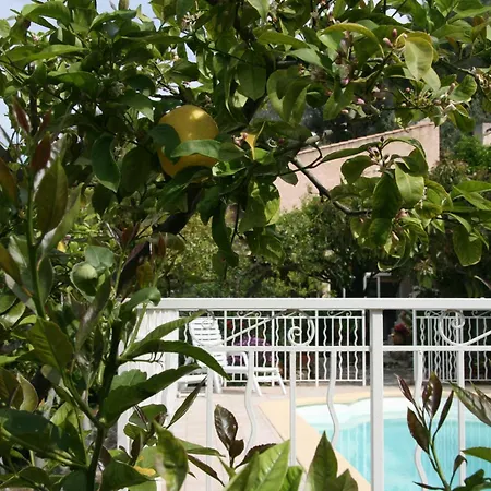 Guest house L'aleandra *